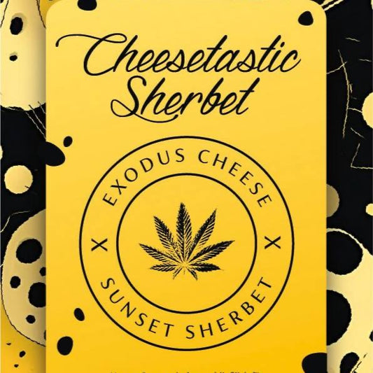 Cheesetastic Sherbet